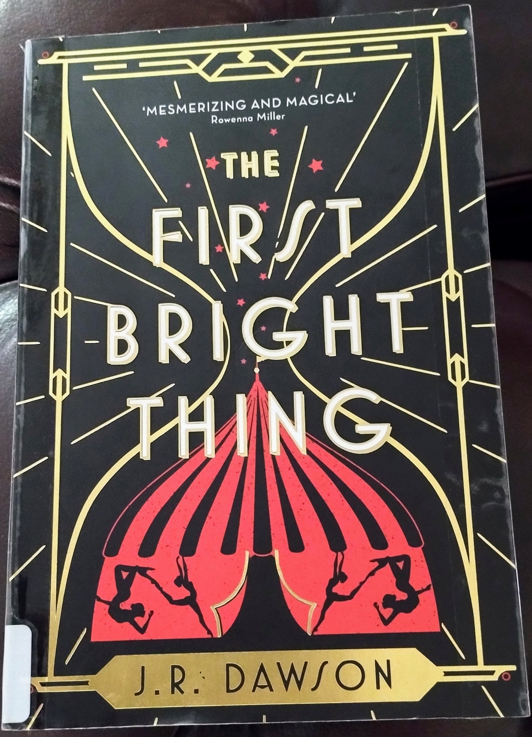 The First Bright Thing features a Spark in a dark world